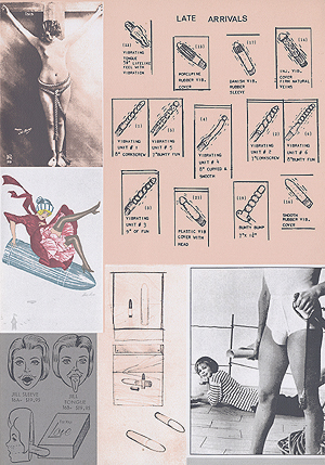 Allen Jones, Ways and Means plate 24, 0294.jpg